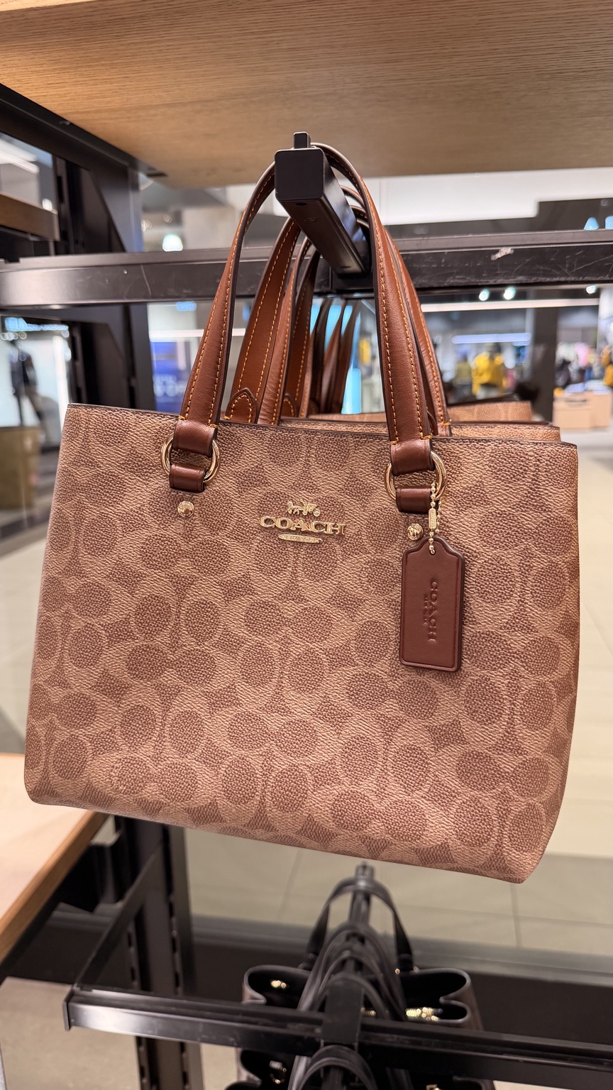 Mollie Tote Bag 25 In Signature Canvas · Brown