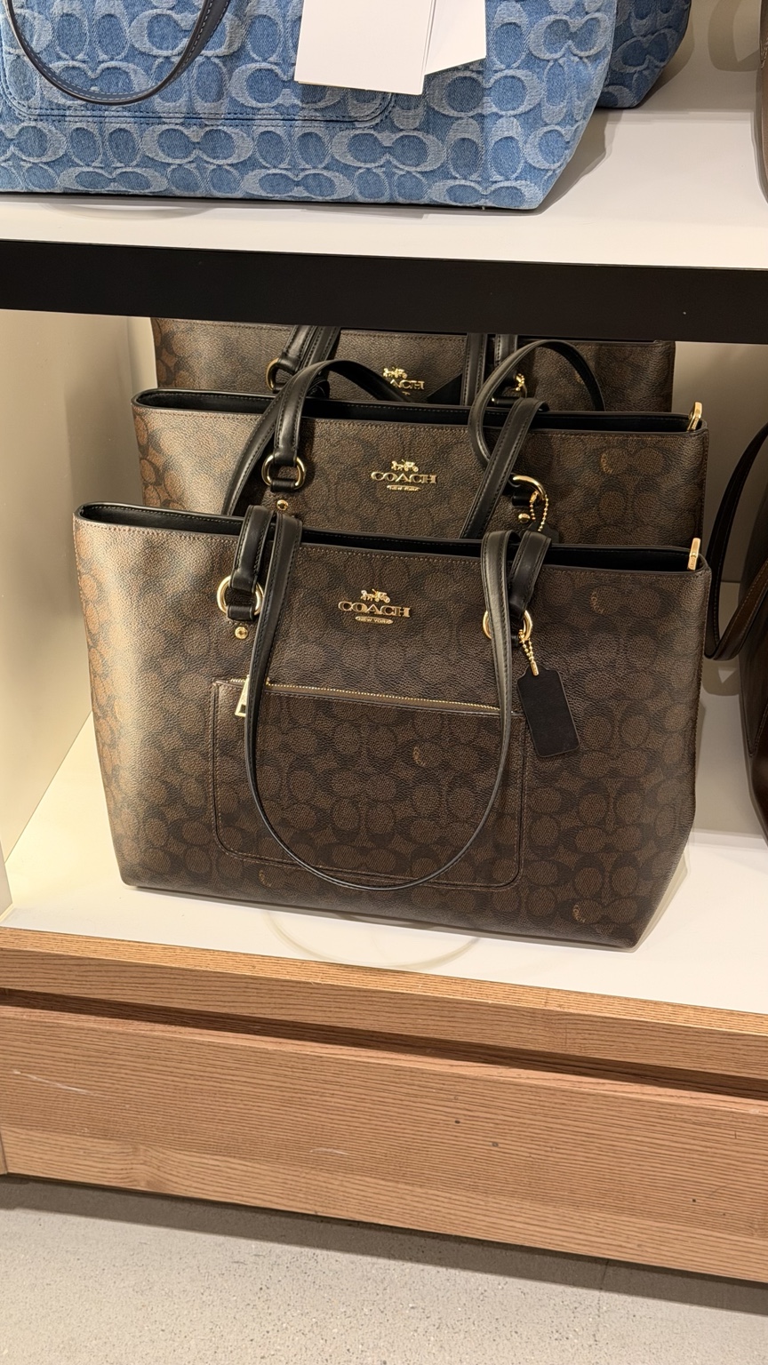 Brown Signature Zip Tote Bag