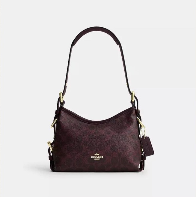 Teri Mini Crossbody Bag · Burgundy