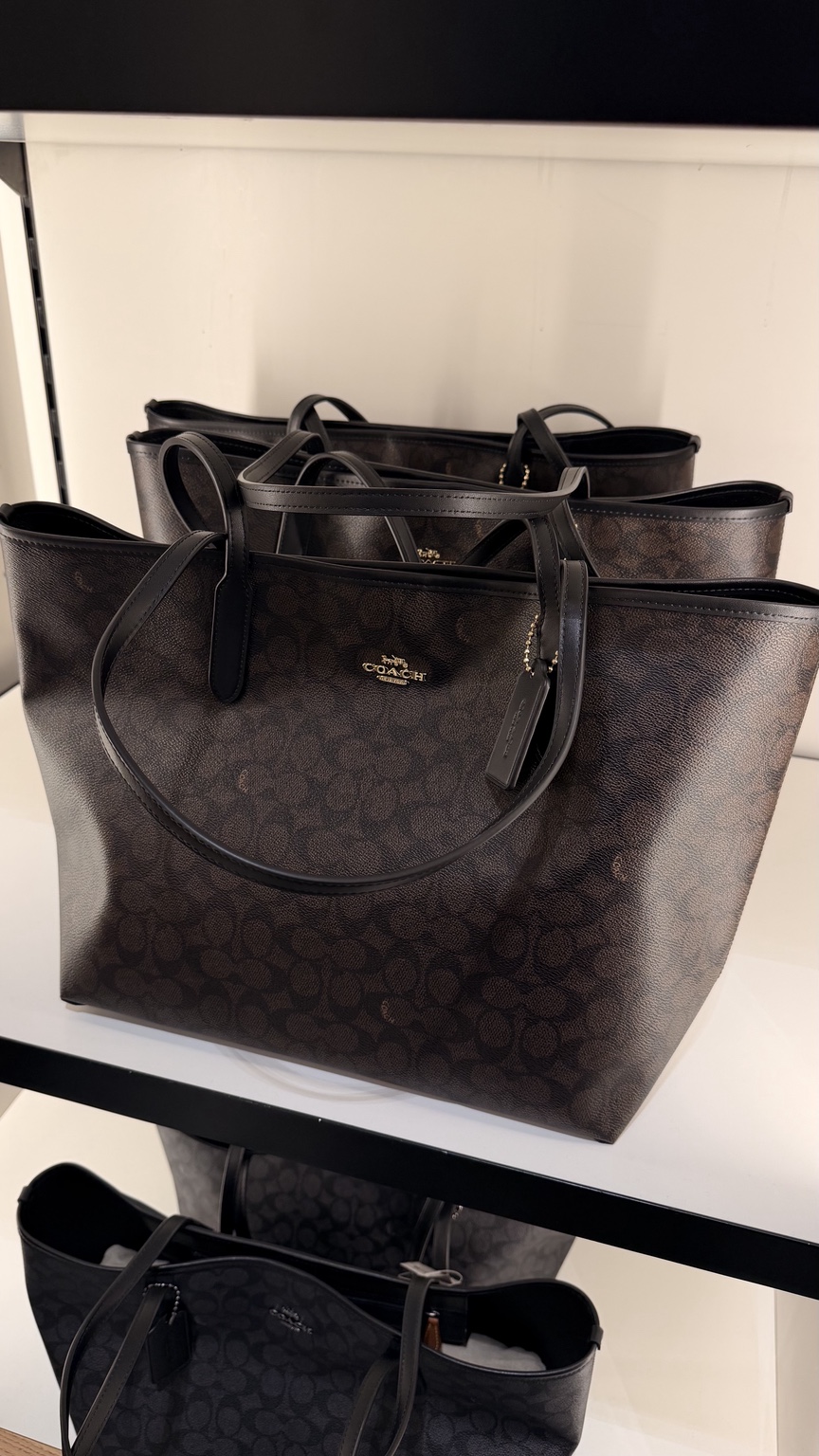 City Tote Bag In Signature Canvas · Dark Brown