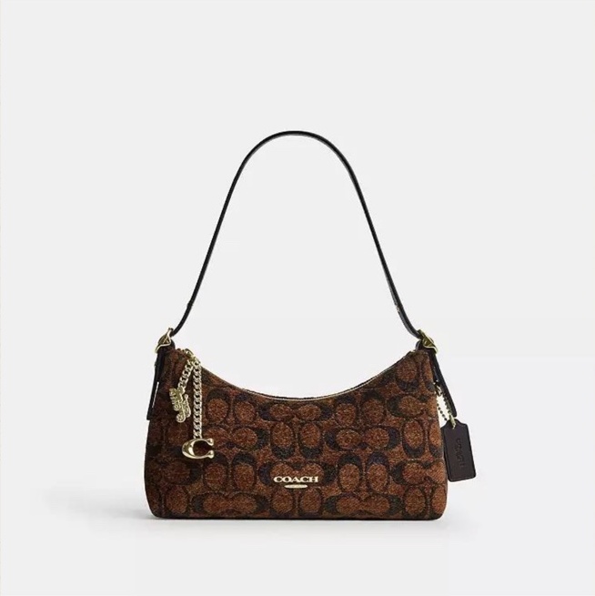 Teri Mini Crossbody Bag In Signature Canvas · Rust