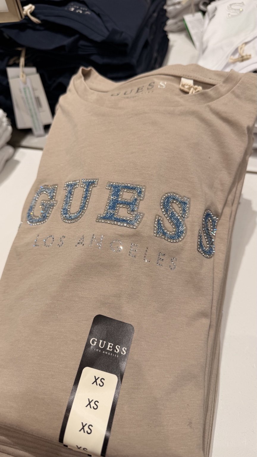 Taupe blue GUESS logo tee