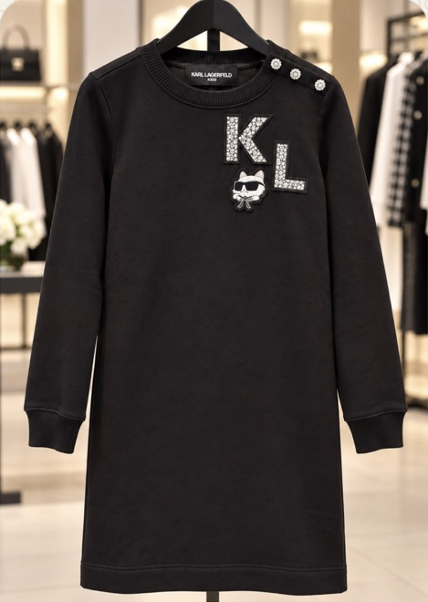 Long Sleeve Sweatshirt Dress With Buttons
